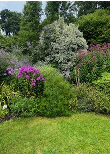 Middle Well 1